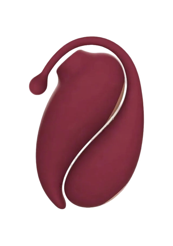 Coffret ventouse clitoridienne et œuf vibrant Adrien Lastic Inspiration, rouge